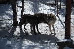 013_2009-0214-1401-40.jpg